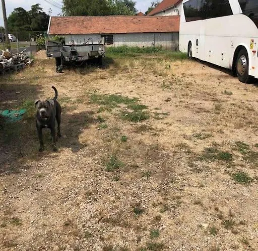 Rez De Maison Jardin