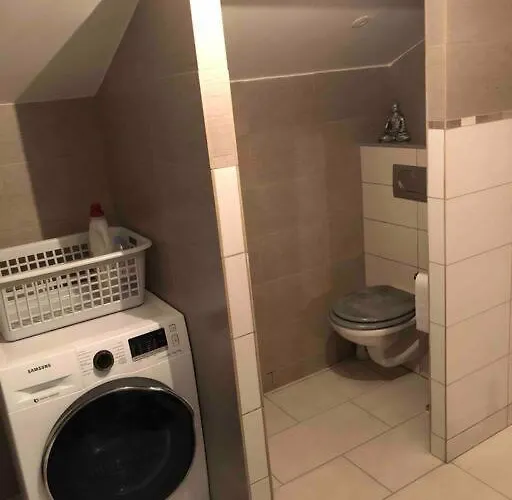 Rez De Maison Jardin Saint-Pont