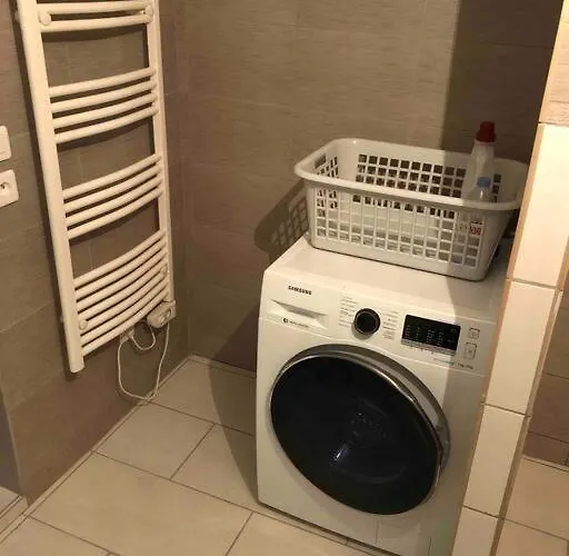 Rez De Maison Jardin